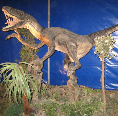 Dinokiállítás Budapesten