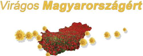 „Virágos Magyarországért” „Virágos Magyarországért” mozgalom 2010-es pályázata