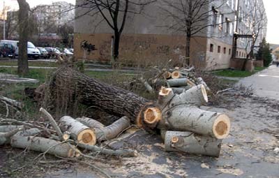 40 esetben vonultak ki a tűzoltók a vihar miatt