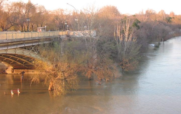 Árvíz - Megkezdődik a védekezés a Margitszigeten is