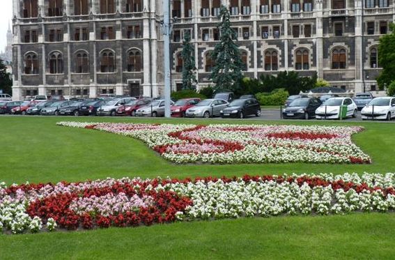 Látványos egynyári virágbemutató a XIII. kerületben