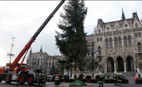 Áll az ország karácsonyfája!