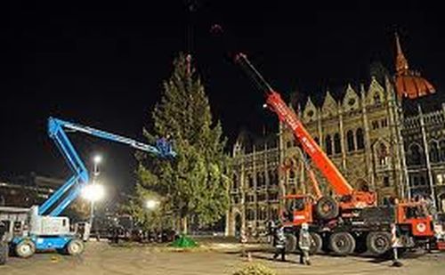 Félezer dísz ékesíti idén az ország karácsonyfáját
