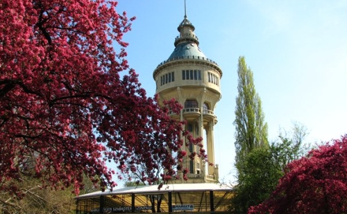 Ismét látogatókat fogad a margitszigeti víztorony