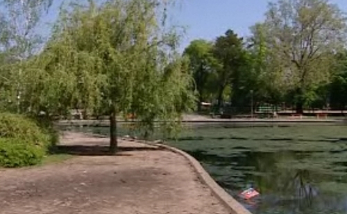 Új növények telepítésével javítják a Városligeti-tó vízösszetételét