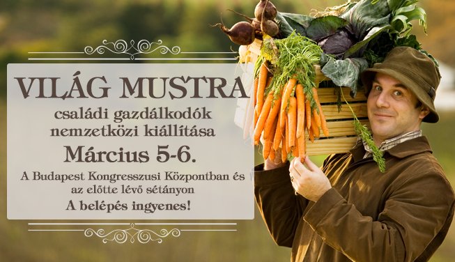 Családi gazdaság