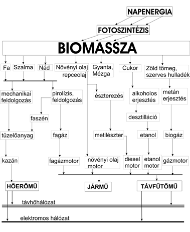 Biomassza hasznosítása