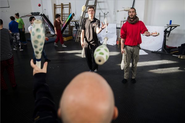 A cirkusz, mint szociális háló is működhet