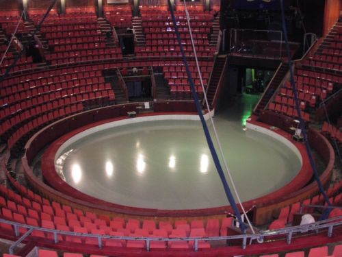 Milyen lesz az új fővárosi cirkusz?