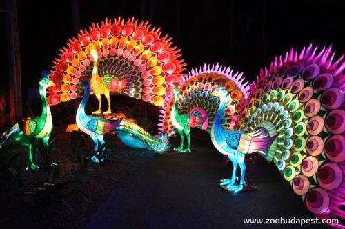 Pazar kínai lampionfesztivál az állatkertben - május 22-ig