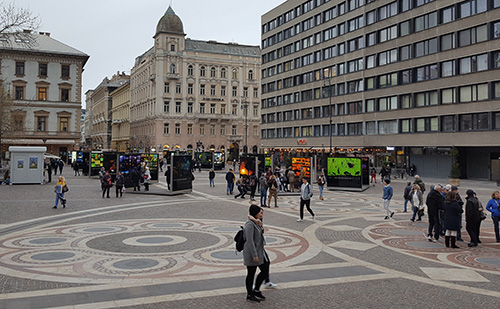 A Szent István Bazilikánál kiállítást rendeztek Máté Bence természetfotóiból
