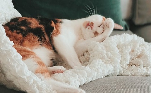 Le a padlóra! Avagy az elektromos fűtőszőnyeg előnyei