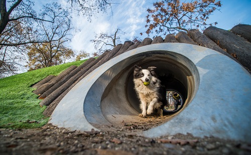 A Városliget eddig 150 ezer négyzetmétere újult meg 
