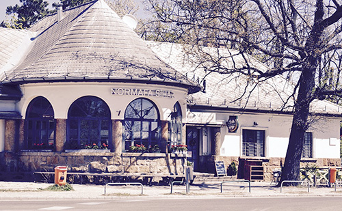 Megkezdődik Normafán a régi buszforduló és parkoló felszámolása