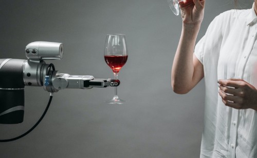 Robotcica állt szolgálatba egy budai étteremben