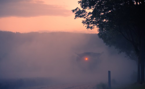 Budapestnek is fontos az agrárdigitalizáció