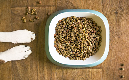 A fővárosban hozza létre új szolgáltató központját a Fressnapf