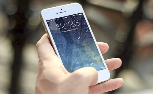 A Waberer's digitalizációval fejleszti hatékonyságát