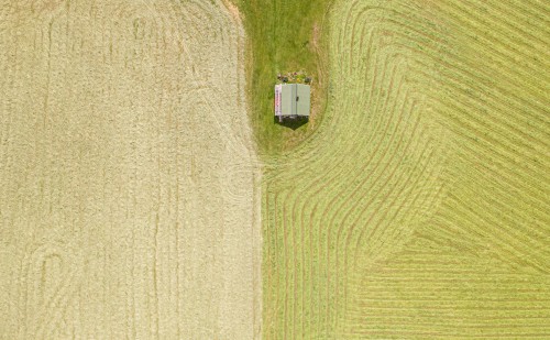 Fontos agro-rendezvényt szerveznek Budapesten