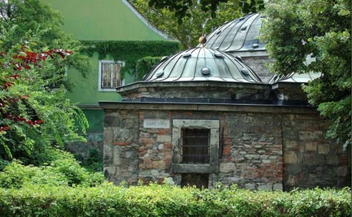 Törökfürdős szülinap: Király, 450